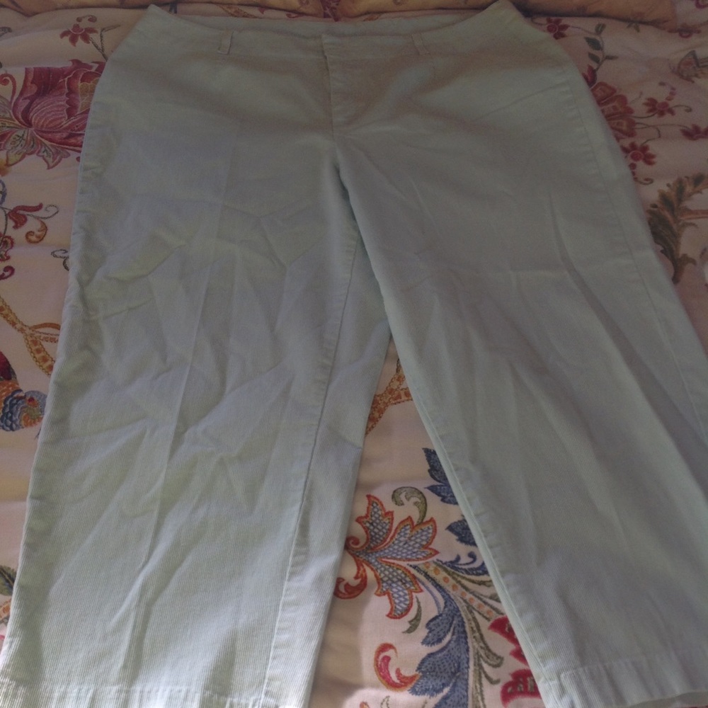 Merona brand size 16W, capri’s